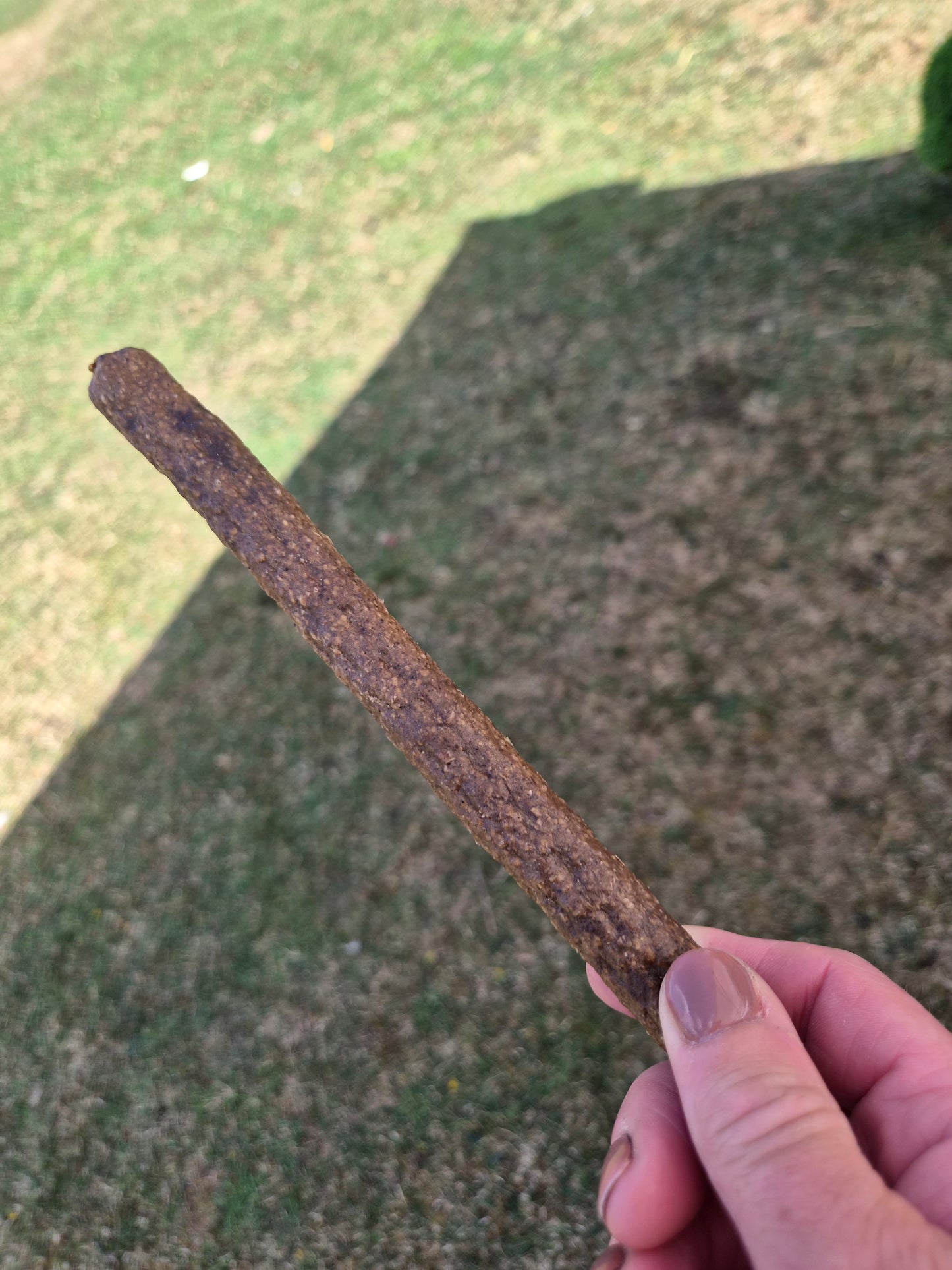Long Sausage
