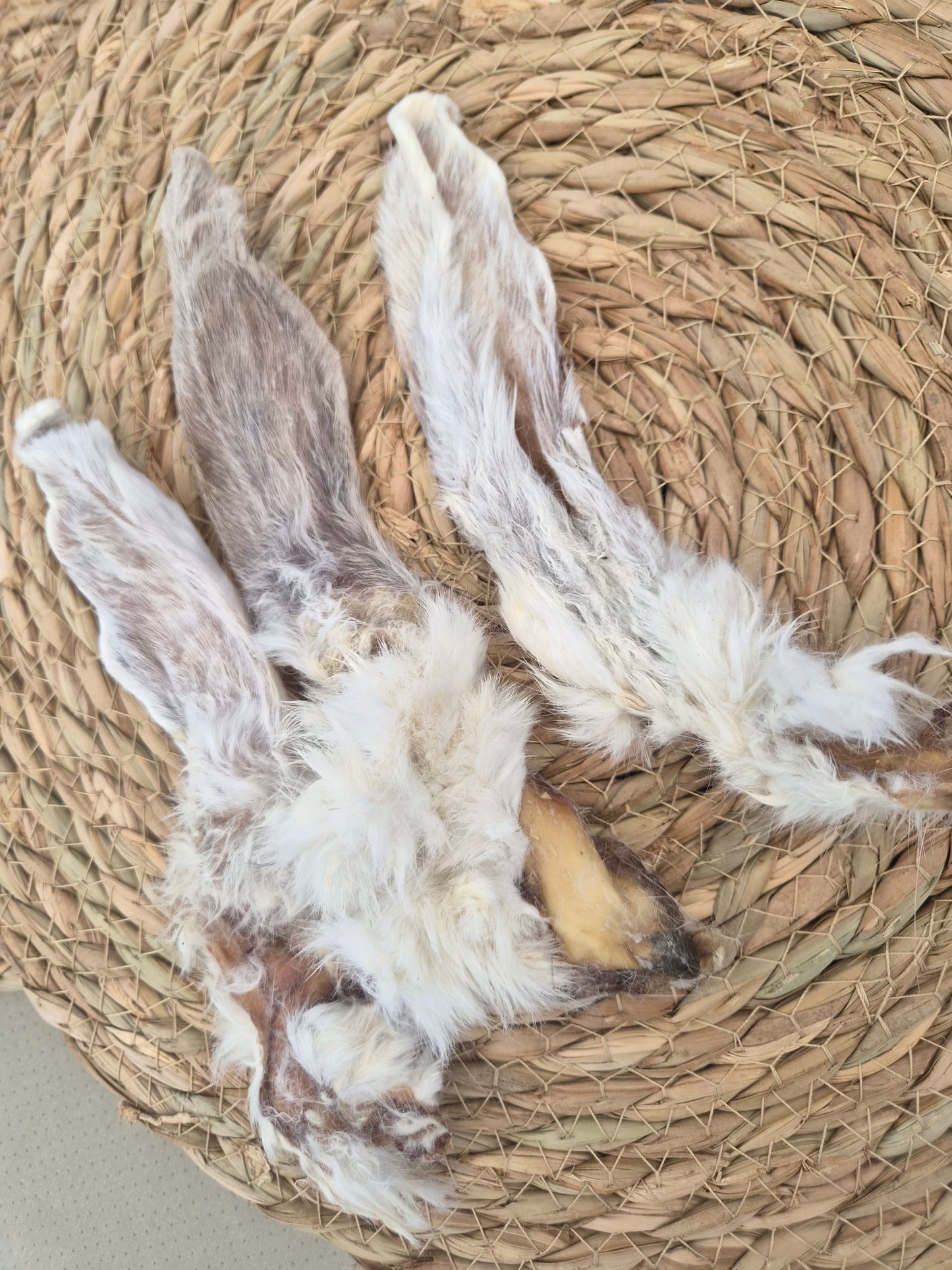 Rabbit Ears