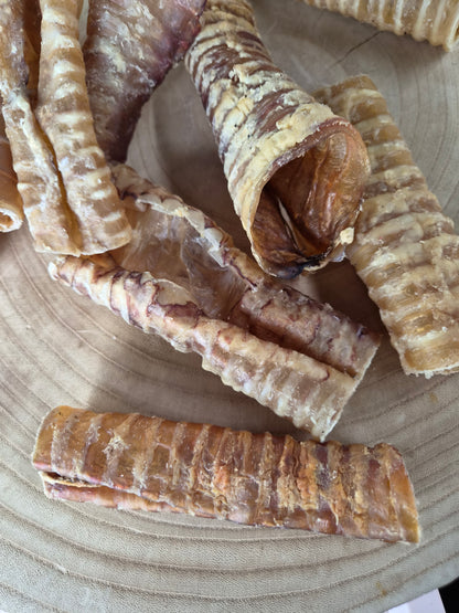 Beef Trachea