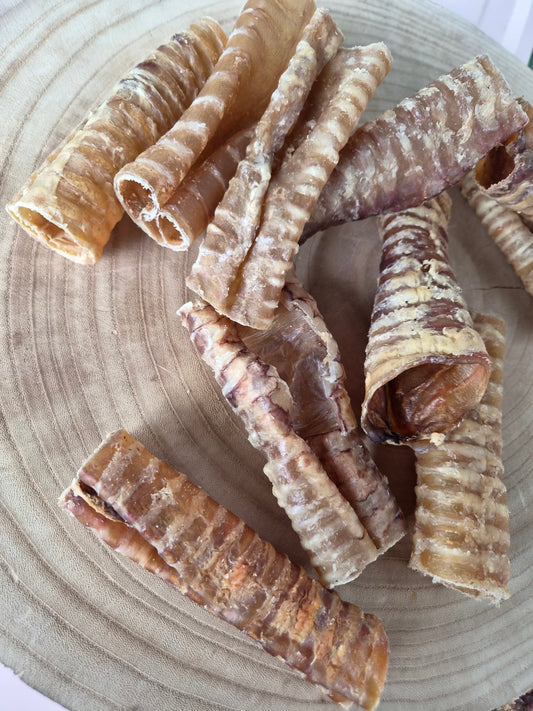 Beef Trachea