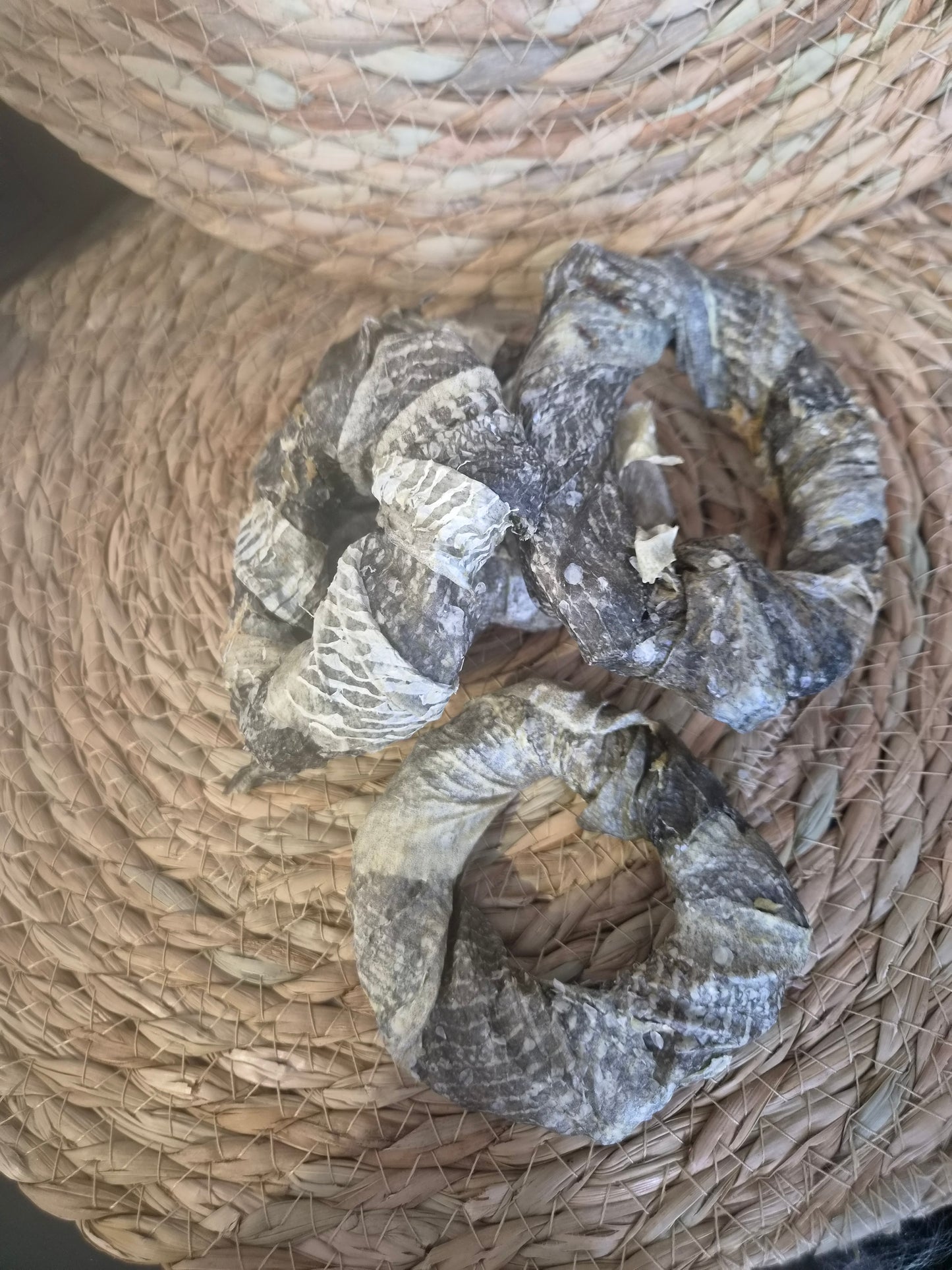 Fish Skin Donut