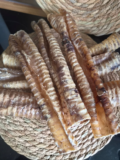 Beef Trachea