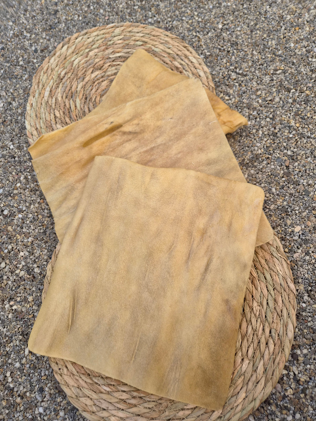 Buffalo Skin Plates - Simba's favourite