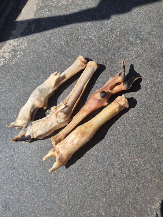 Lambs Feet - Fur Free