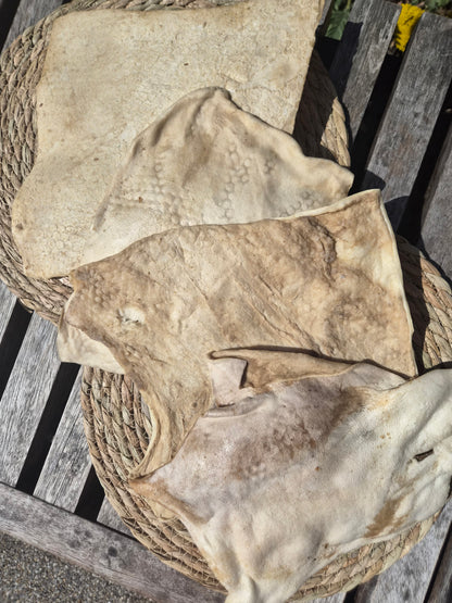 Lamb Skin Plate - A favourite for Cali