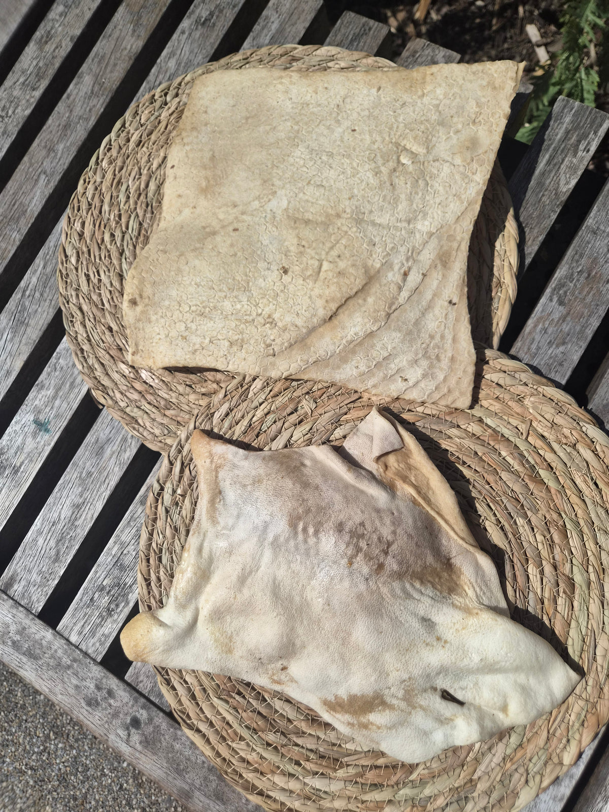 Lamb Skin Plate - A favourite for Cali
