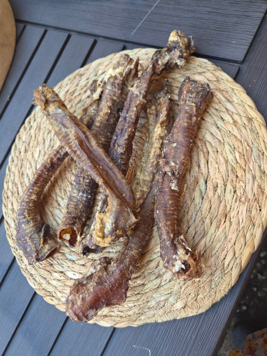 Lamb Trachea
