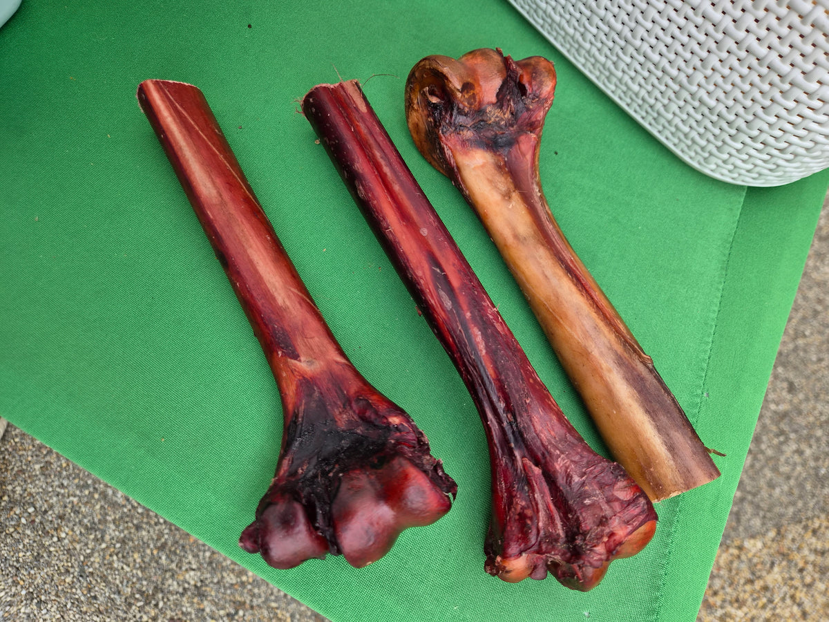 Ostrich Bone