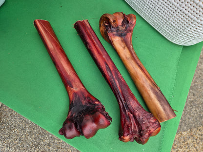 Ostrich Bone