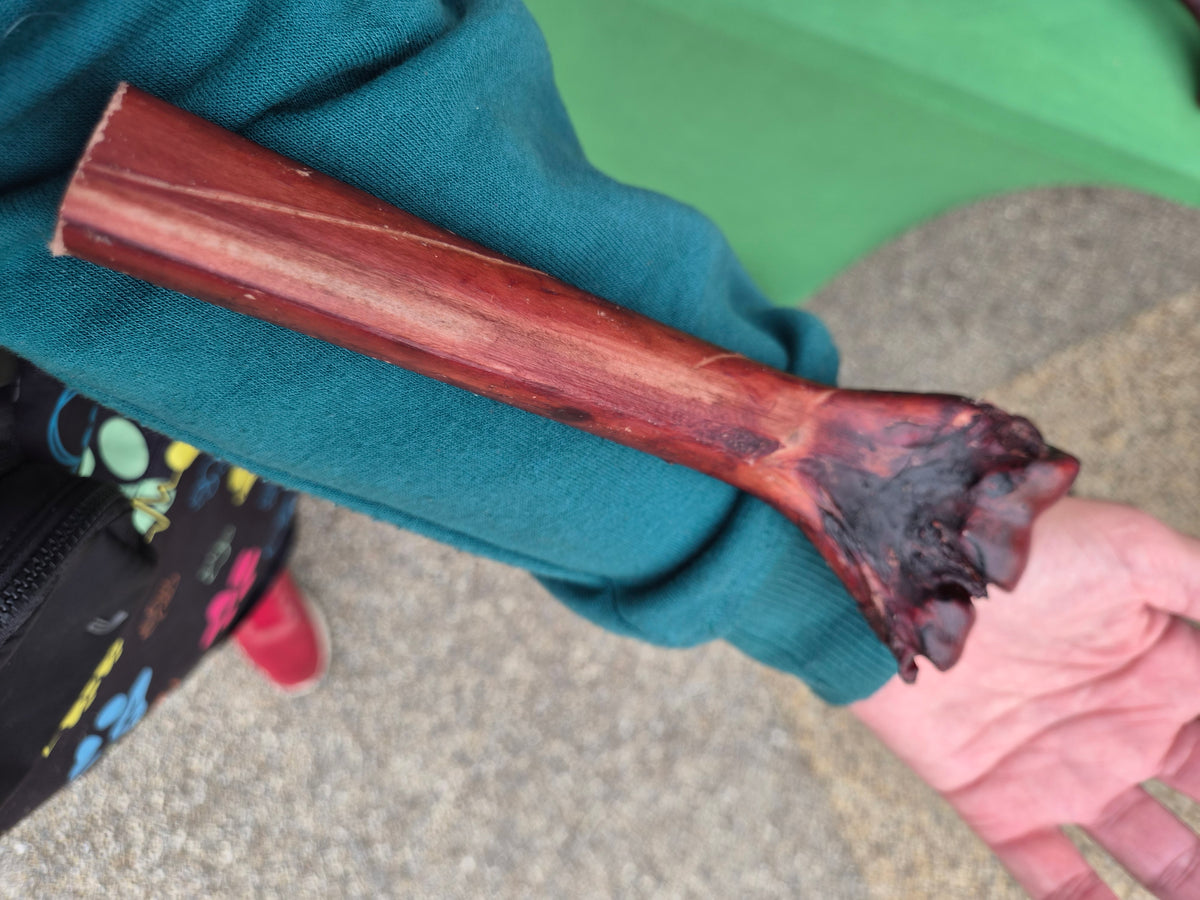 Ostrich Bone