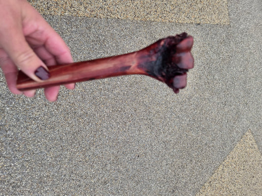 Ostrich Bone