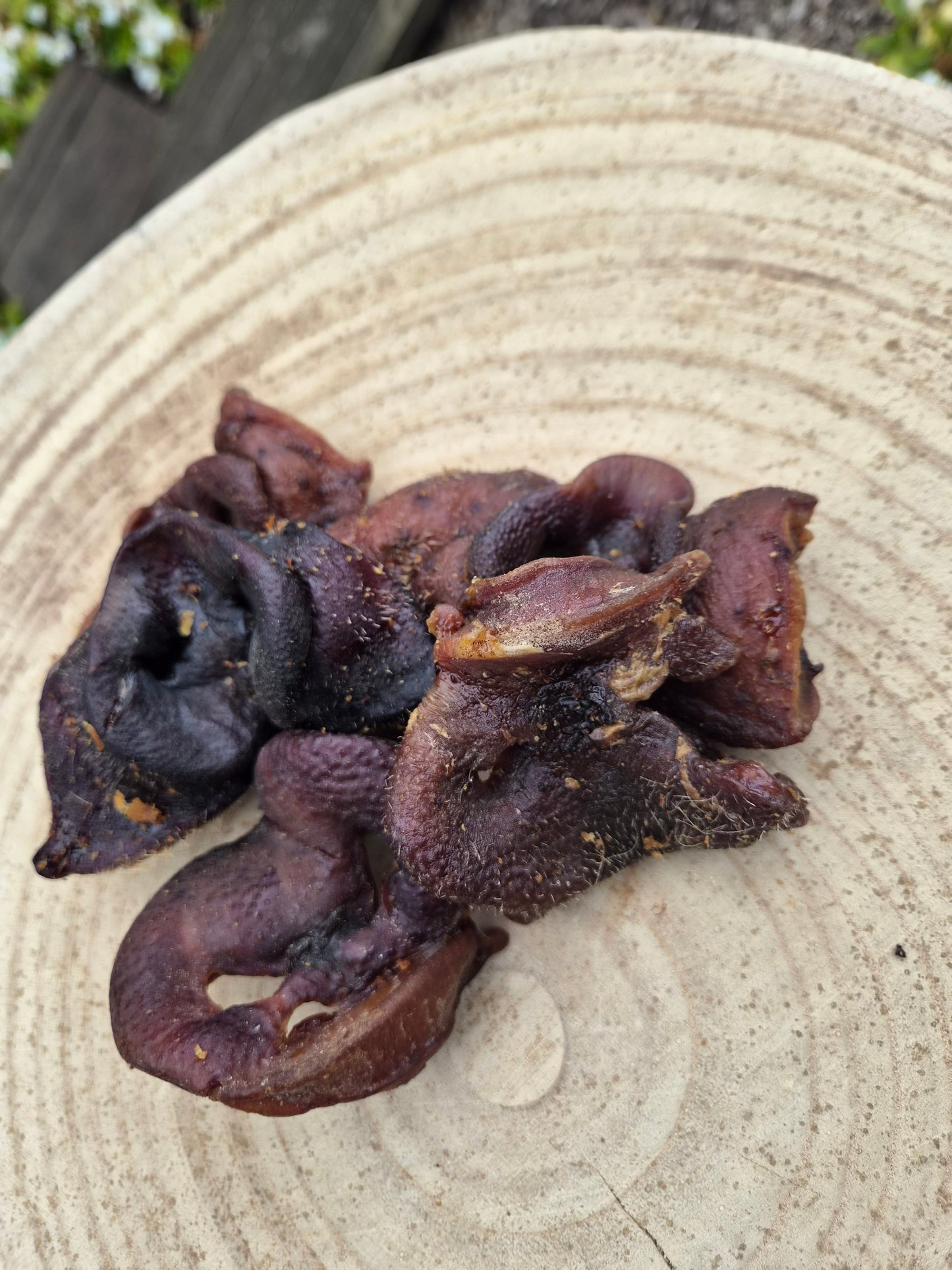 Pig Snout