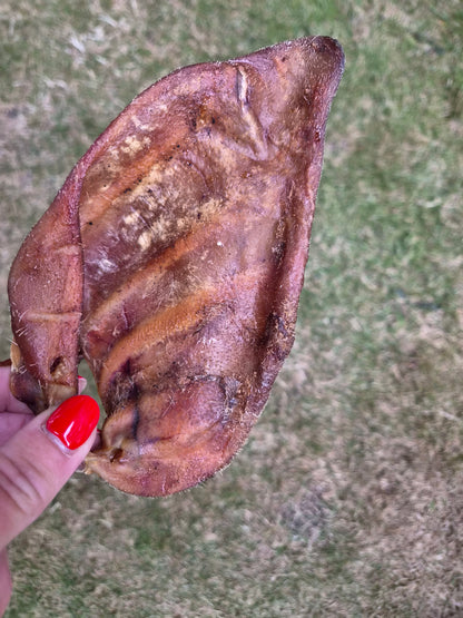 Pigs Ear