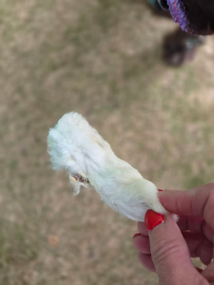 Rabbit Feet