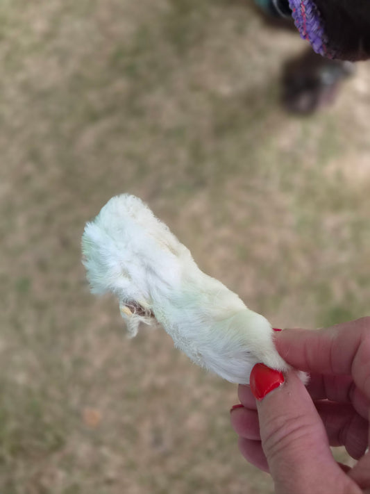 Rabbit Feet