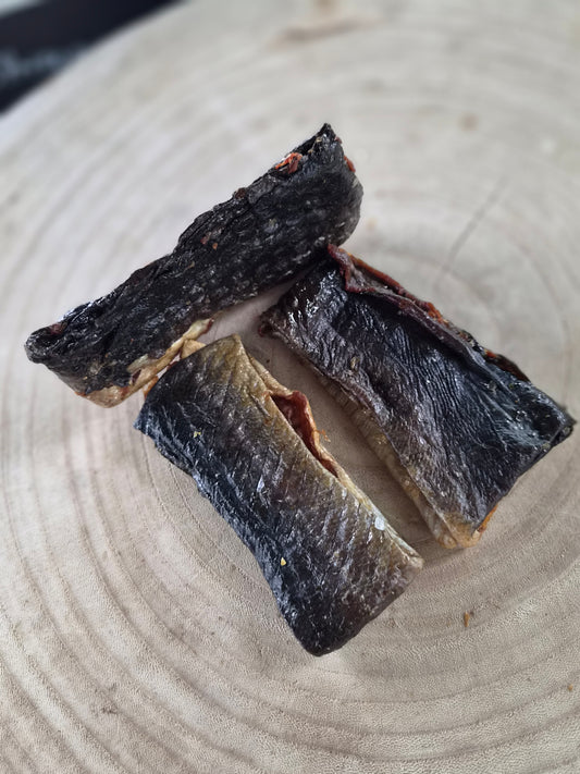 Salmon Flattie